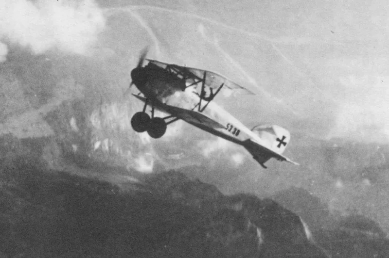 Representative view of Albatros D.III.