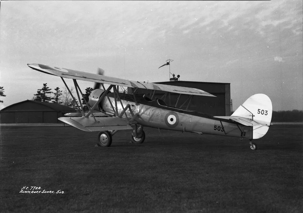 Representative view of Blackburn Shark.