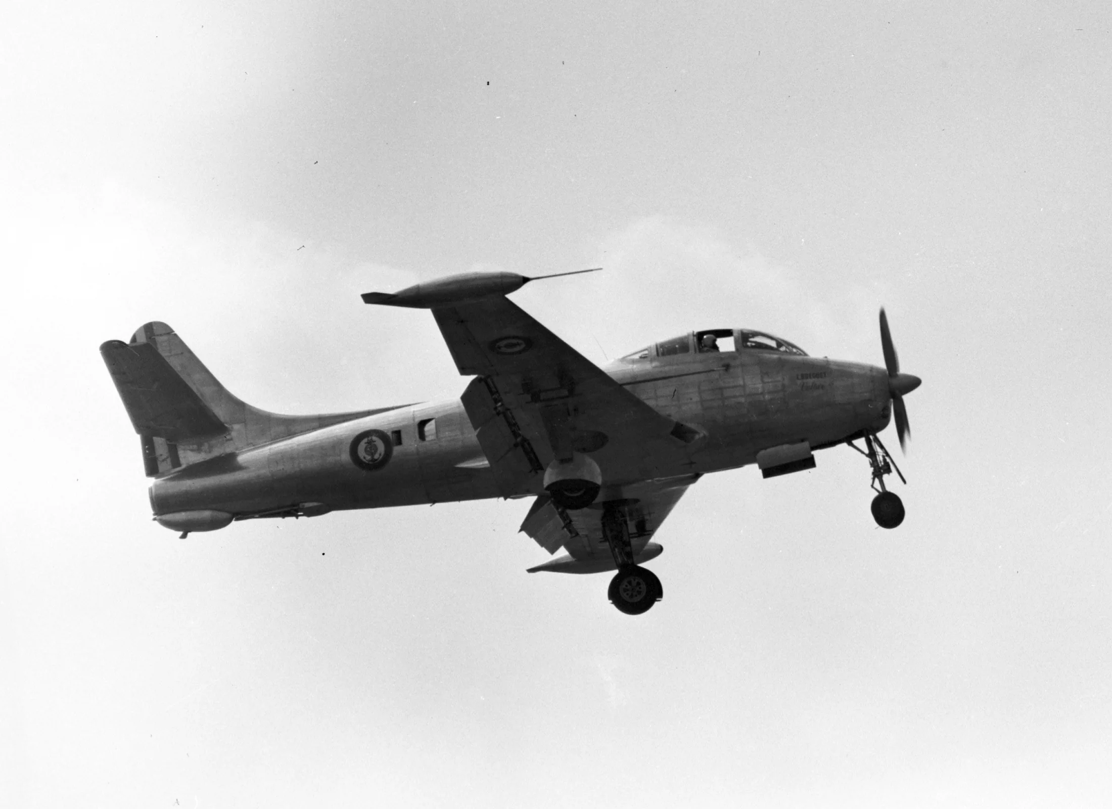 Representative view of Breguet Br.960 Vultur.