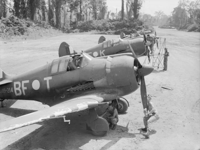 Representative view of CAC Boomerang.