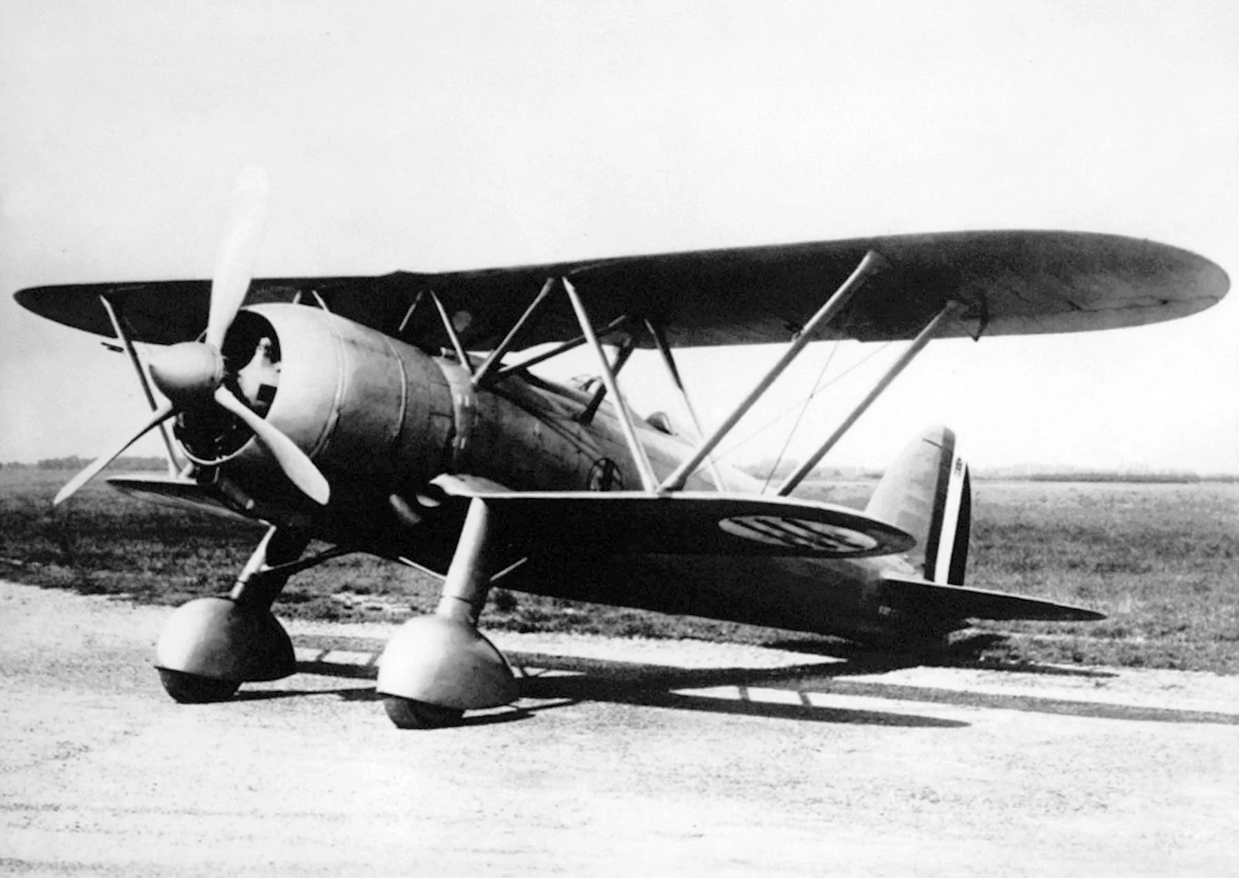 Representative view of Fiat CR.42 Falco.