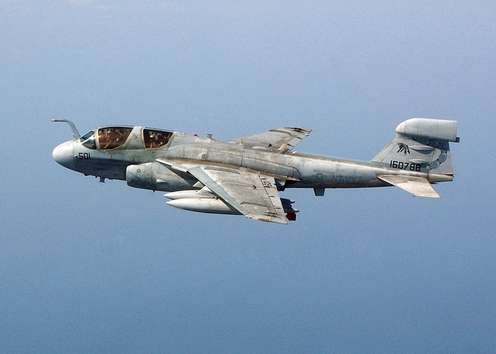 Representative view of Grumman EA-6B Prowler.