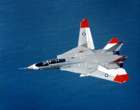 Representative view of Grumman F-14 Tomcat.
