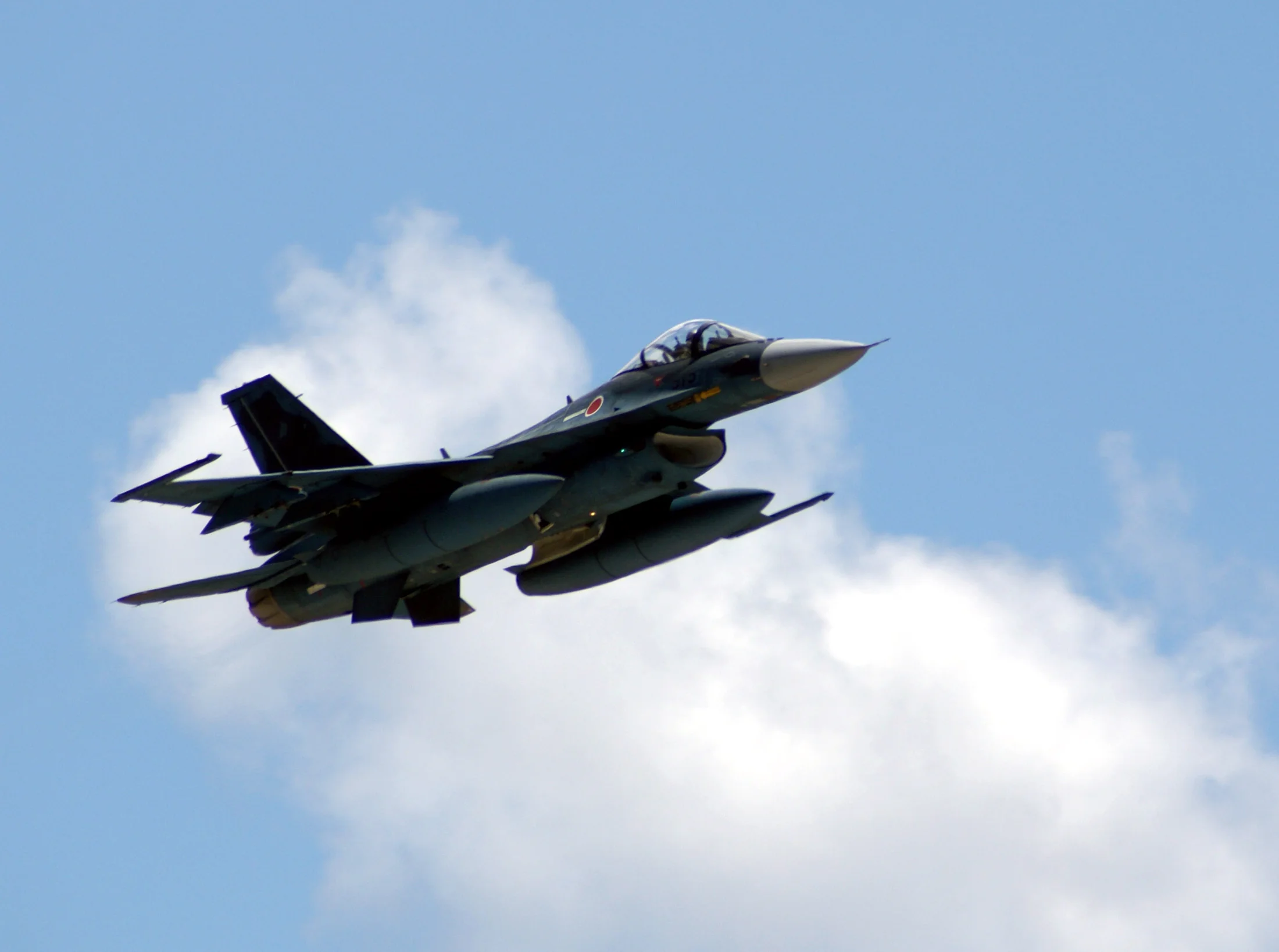 Representative view of Mitsubishi F-2.