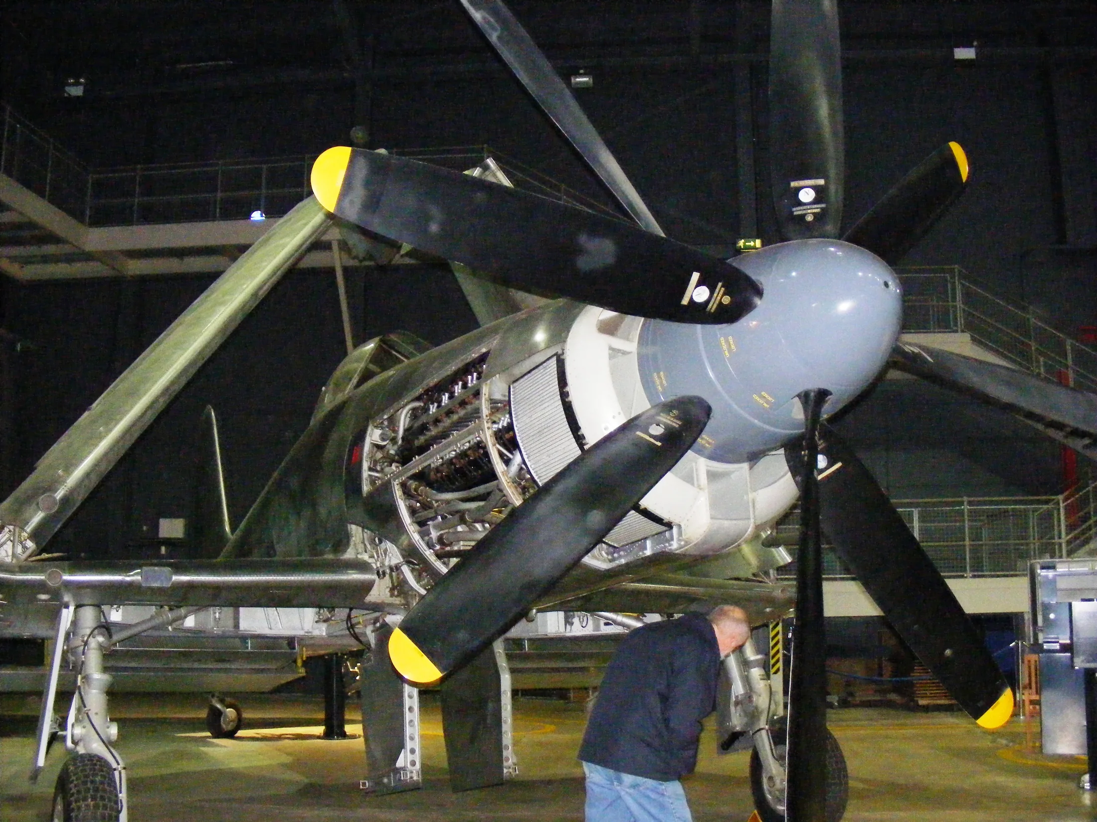 Representative view of Westland Wyvern.
